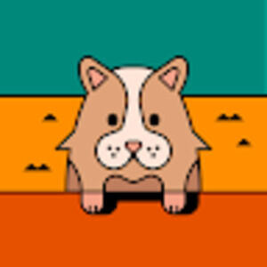 Meet your Posher, Francisco